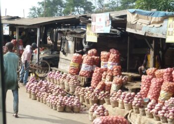 Relocated Onion Sellers Appeal to Government to fulfill Promises