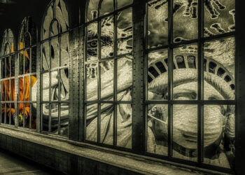 How The West Adopted China-Style Lockdowns