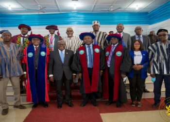 Strong Economic Growth, Domestic Revenue Mobilisation Being Pursued – Akufo-Addo