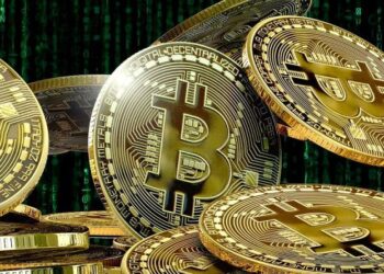 The Bitcoin Challenge: How to Tame a Digital Predator