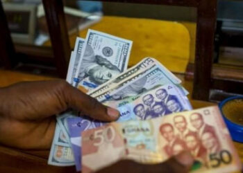 Tackle money repatriation to control cedi depreciation—Gov’t told