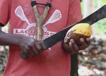 Cadbury cited for Child Labour in Ghana