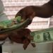 Cedi records 18.21% depreciation to dollar in quarter 1; ranked among “Worst Spot Returns – Bloomberg