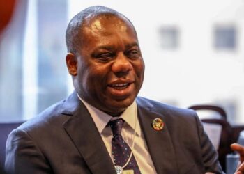 Gov’t expanding investment in power sector—Energy Minister