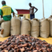 Cocoa Syndication Loan Will Upscale Production-Finance Minister