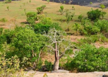 African Development Fund approves $27.9m grant for Ghana’s agric value chain