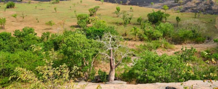 African Development Fund approves $27.9m grant for Ghana’s agric value chain