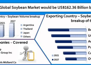 Why was Africa exporting only about 1% of Soya, “The King Of Beans”?
