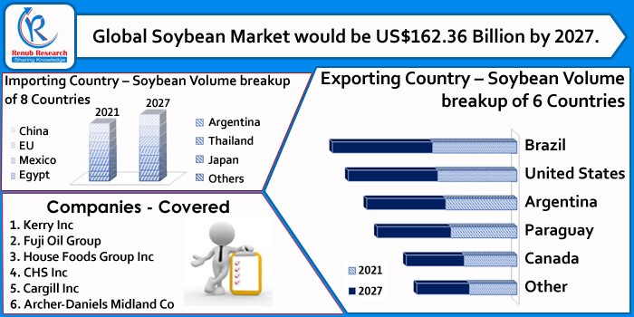 Why was Africa exporting only about 1% of Soya, “The King Of Beans”?