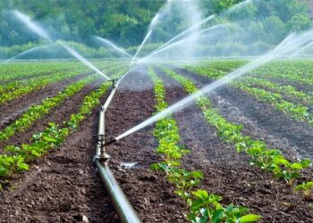 ￼Rainfed Agriculture Versus Irrigation Farming