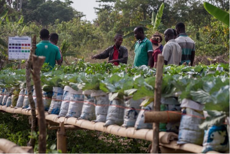 10 Reasons Why Local Agro-Economic Clusters should Choose Local Buyers