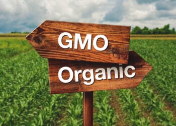 The GMO Debate: Organic Versus Conventional Agriculture in Africa