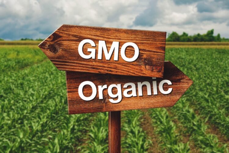 The GMO Debate: Organic Versus Conventional Agriculture in Africa