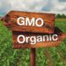 The GMO Debate: Organic Versus Conventional Agriculture in Africa