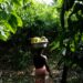 Ghana cocoa farmers revolt over prices, threaten mass smuggling