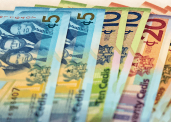 Ghana cedi is world’s best-performing currency – Mahama tells investors in Japan